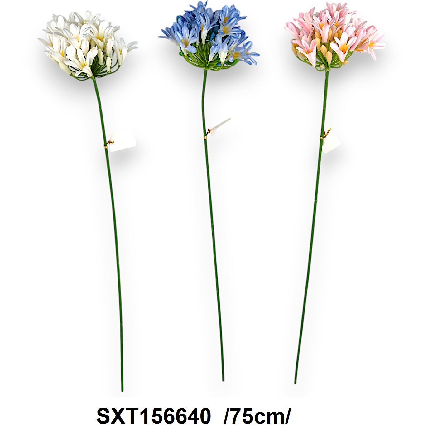 Szálas szerelemvirág /75cm/ Fő kép