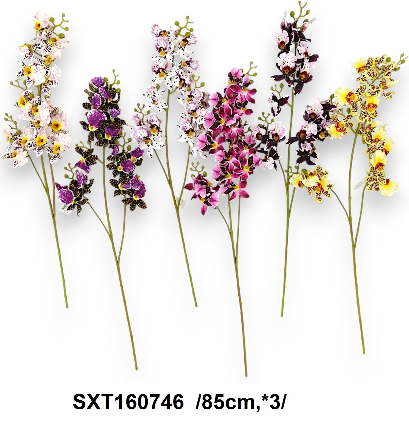 Zygopetalum orchidea ág /85cm,*3/ Fő kép