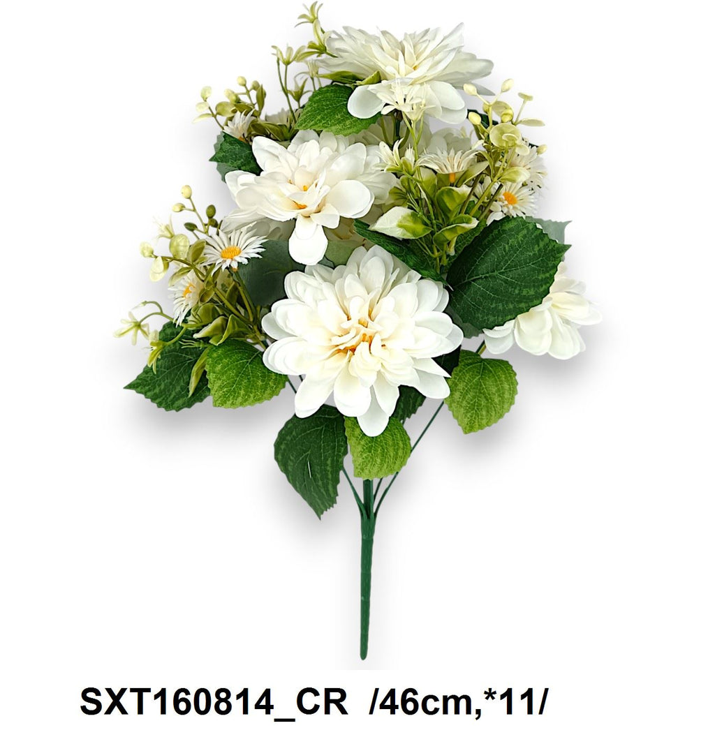 SXT160814_CR