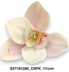 SXT161286_CRPK