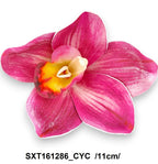 SXT161286_CYC