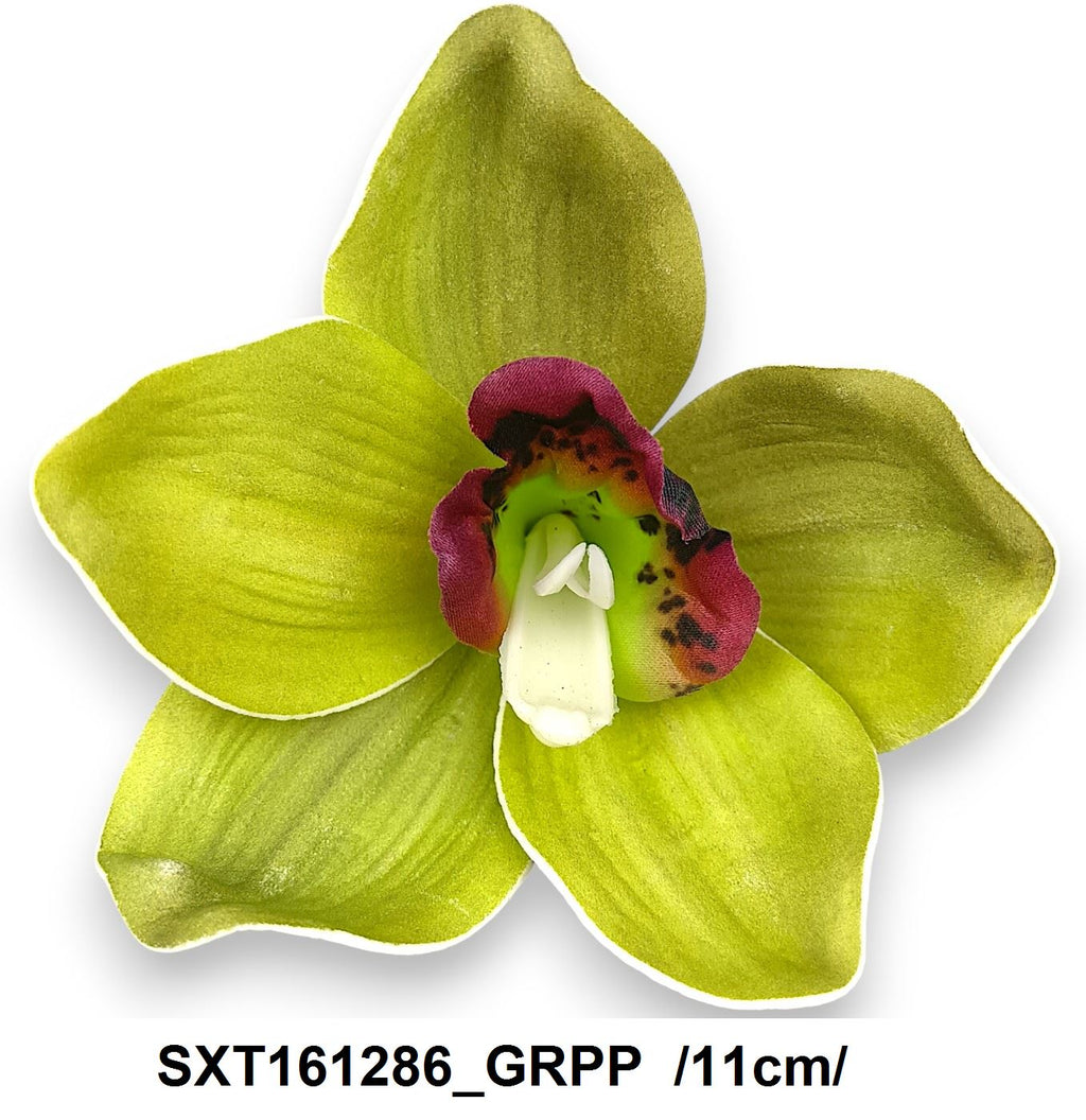 SXT161286_GRPP