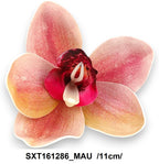 SXT161286_MAU