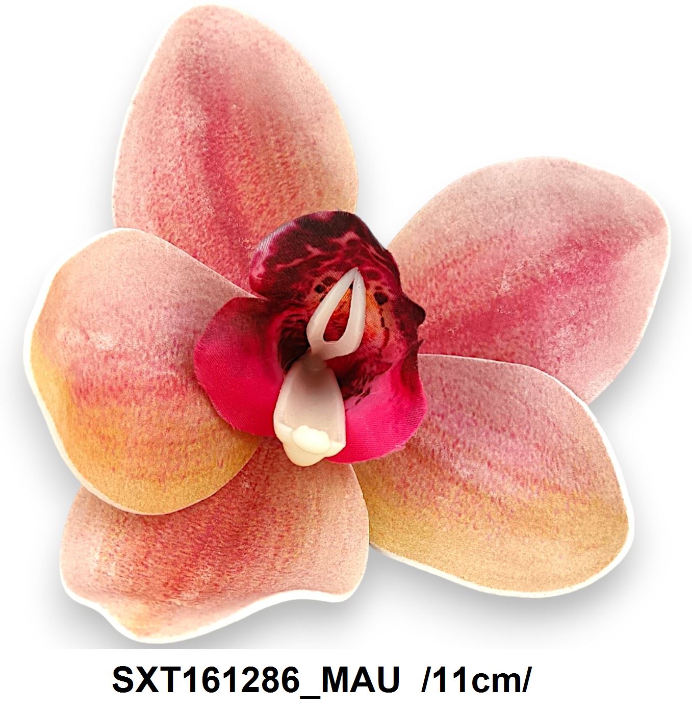 SXT161286_MAU