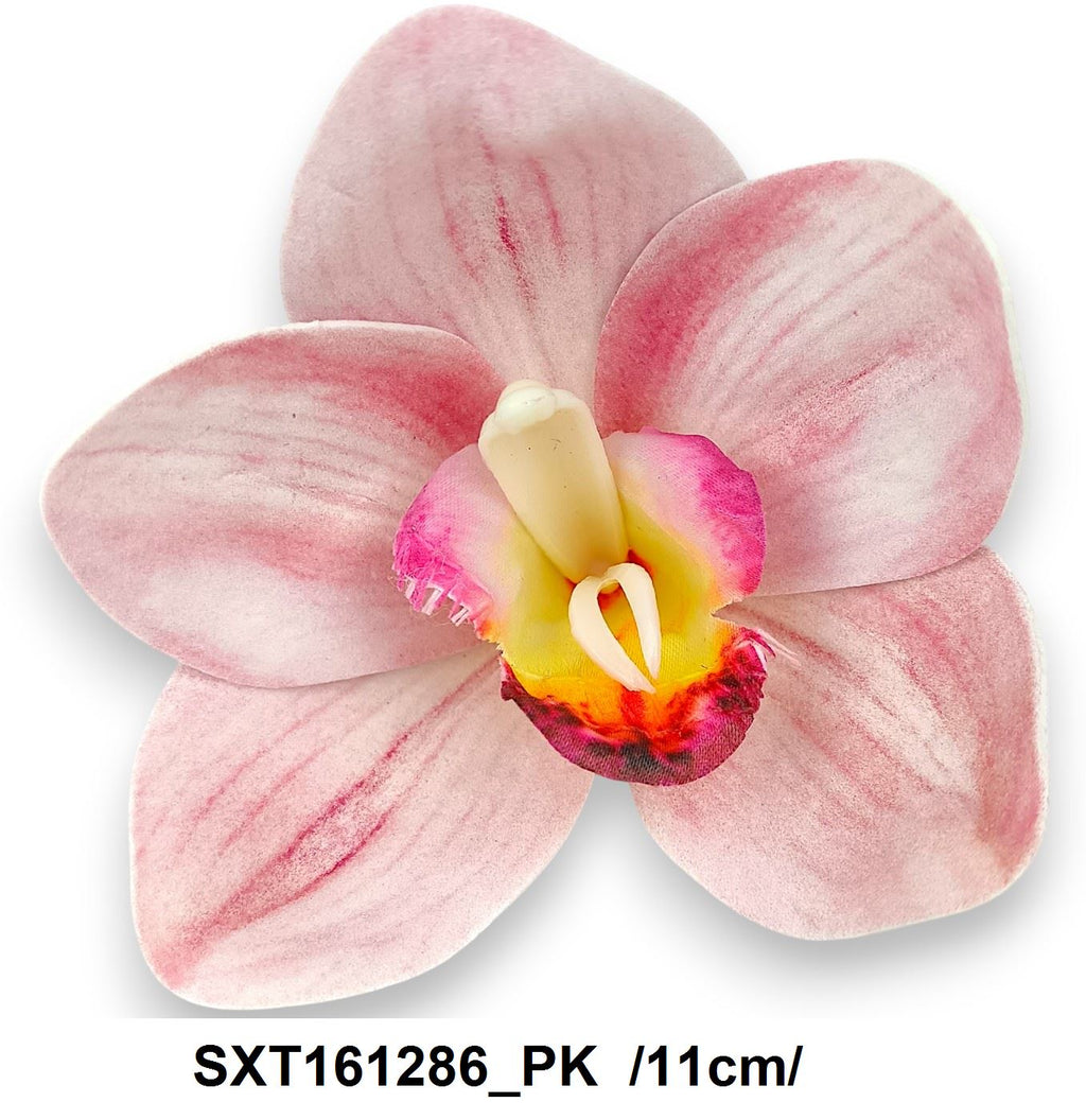 SXT161286_PK
