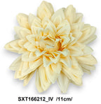 SXT166212_IV
