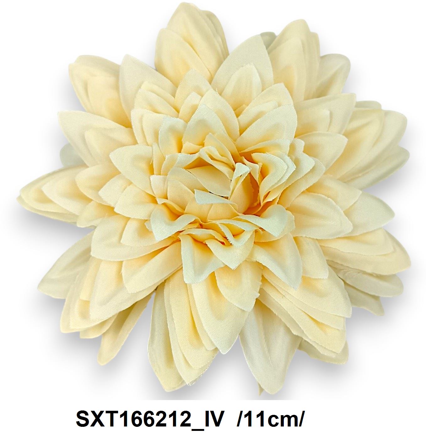 SXT166212_IV