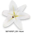 Real-touch liliomfej /14cm/
