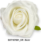 SXT167691_CR