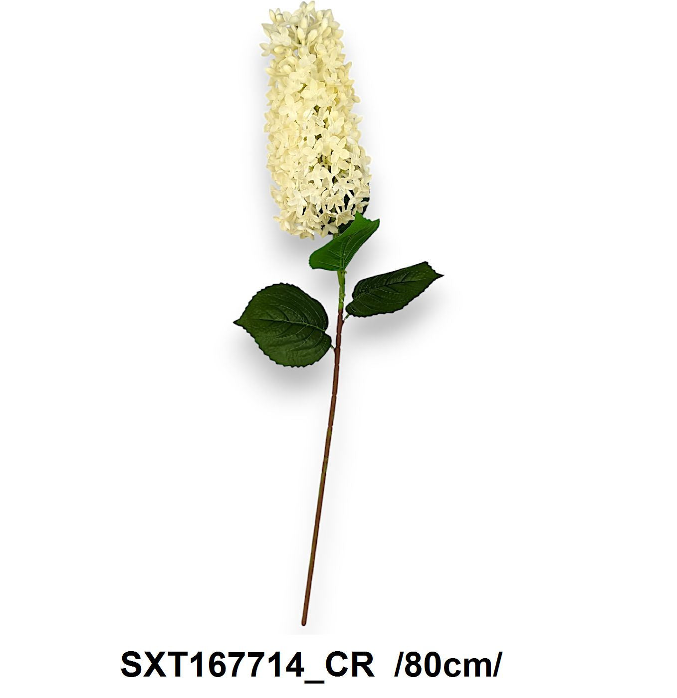 Bugás hortenzia szár, gumi /80cm/ Fő kép