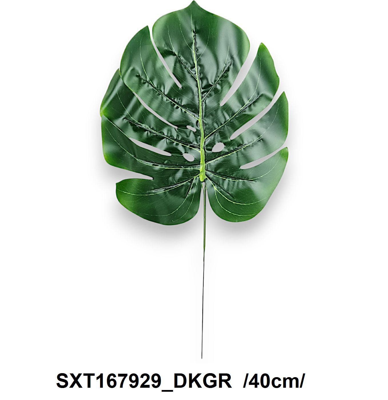 Monstrea levél /40cm/ Fő kép