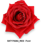 SXT170264_RED