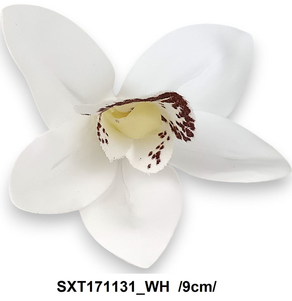 SXT171131_WH