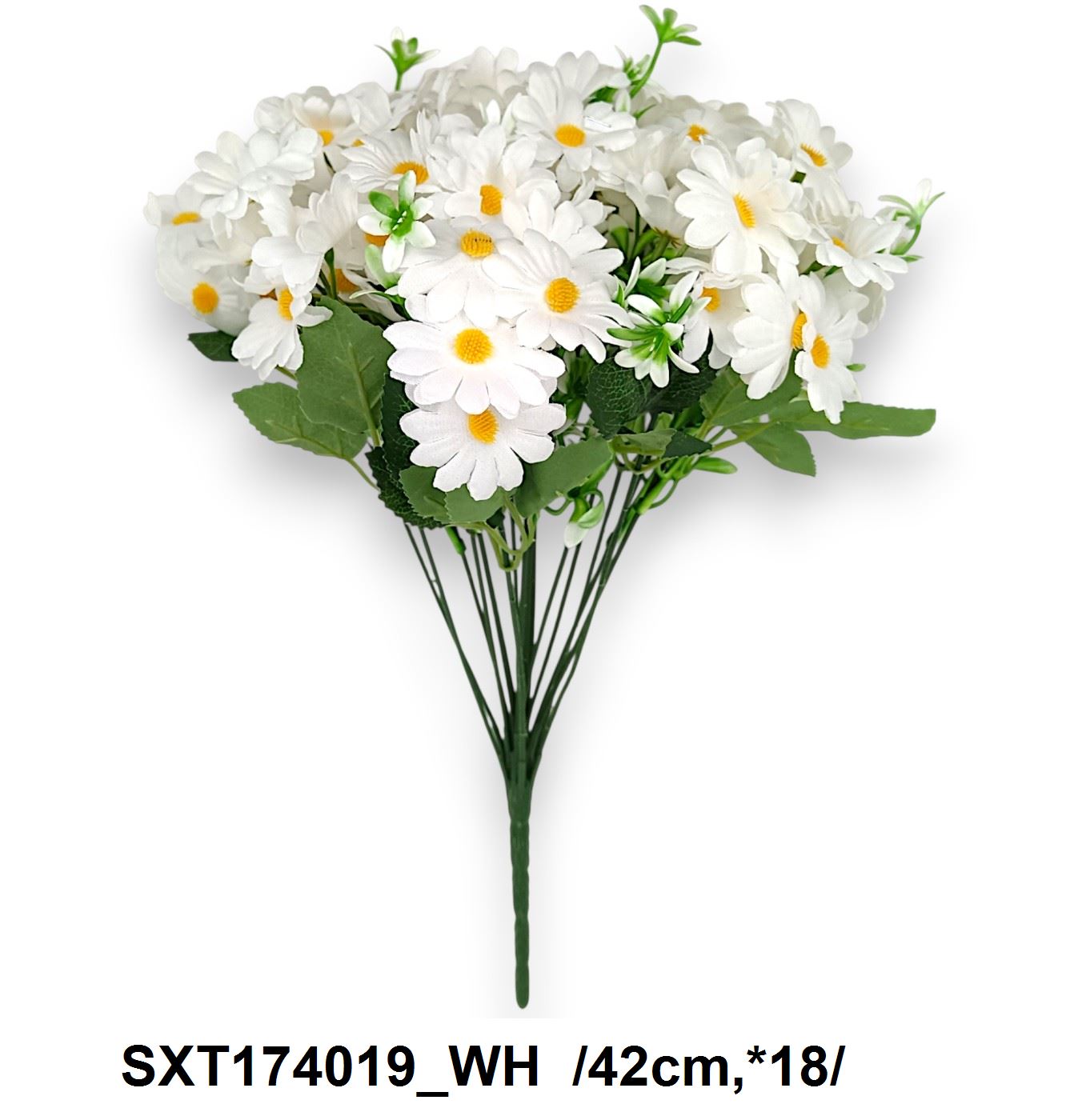 SXT174019_WH