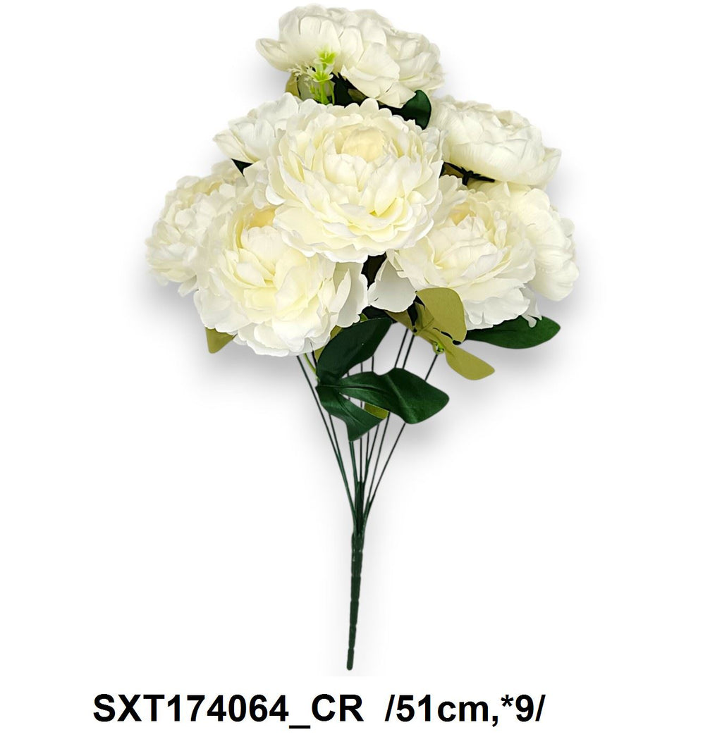 SXT174064_CR