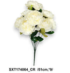 SXT174064_CR