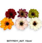 SXT179311_AUT
