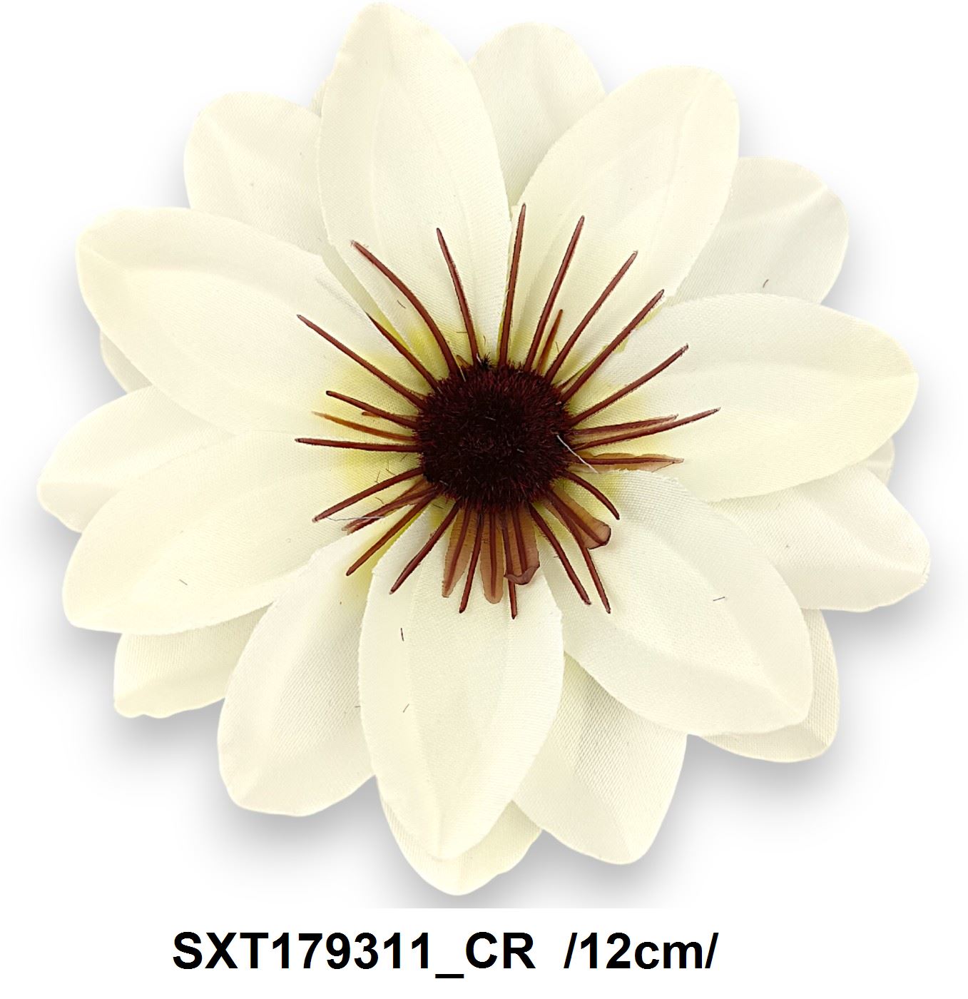 SXT179311_CR