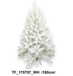 TF_175757_WH