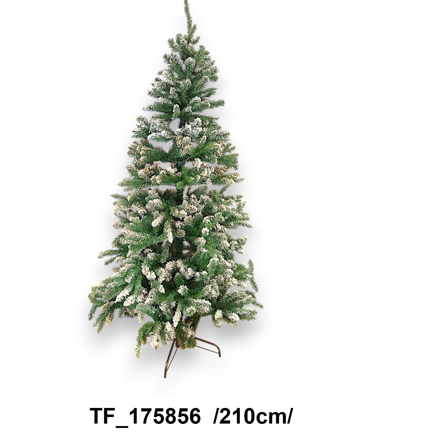 TF_175856