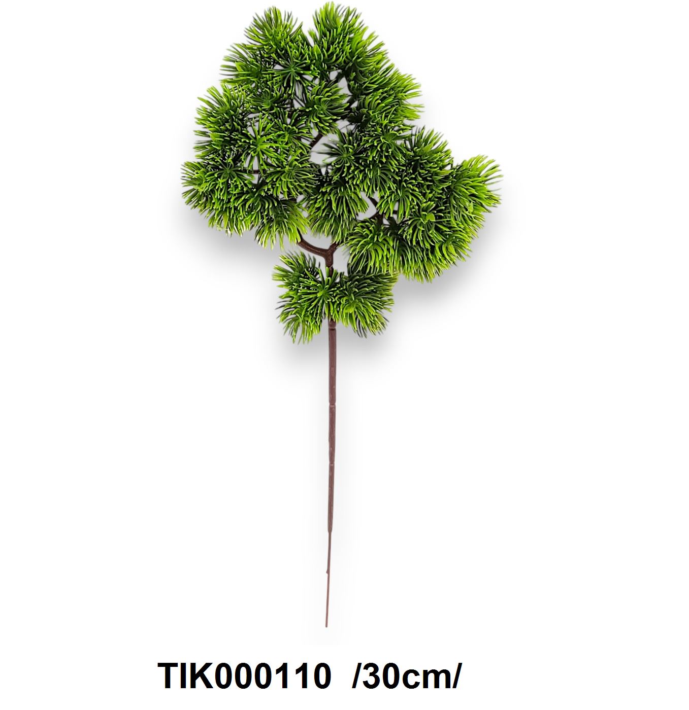 Bonsaifenyõ ág  /30cm/ Fő kép
