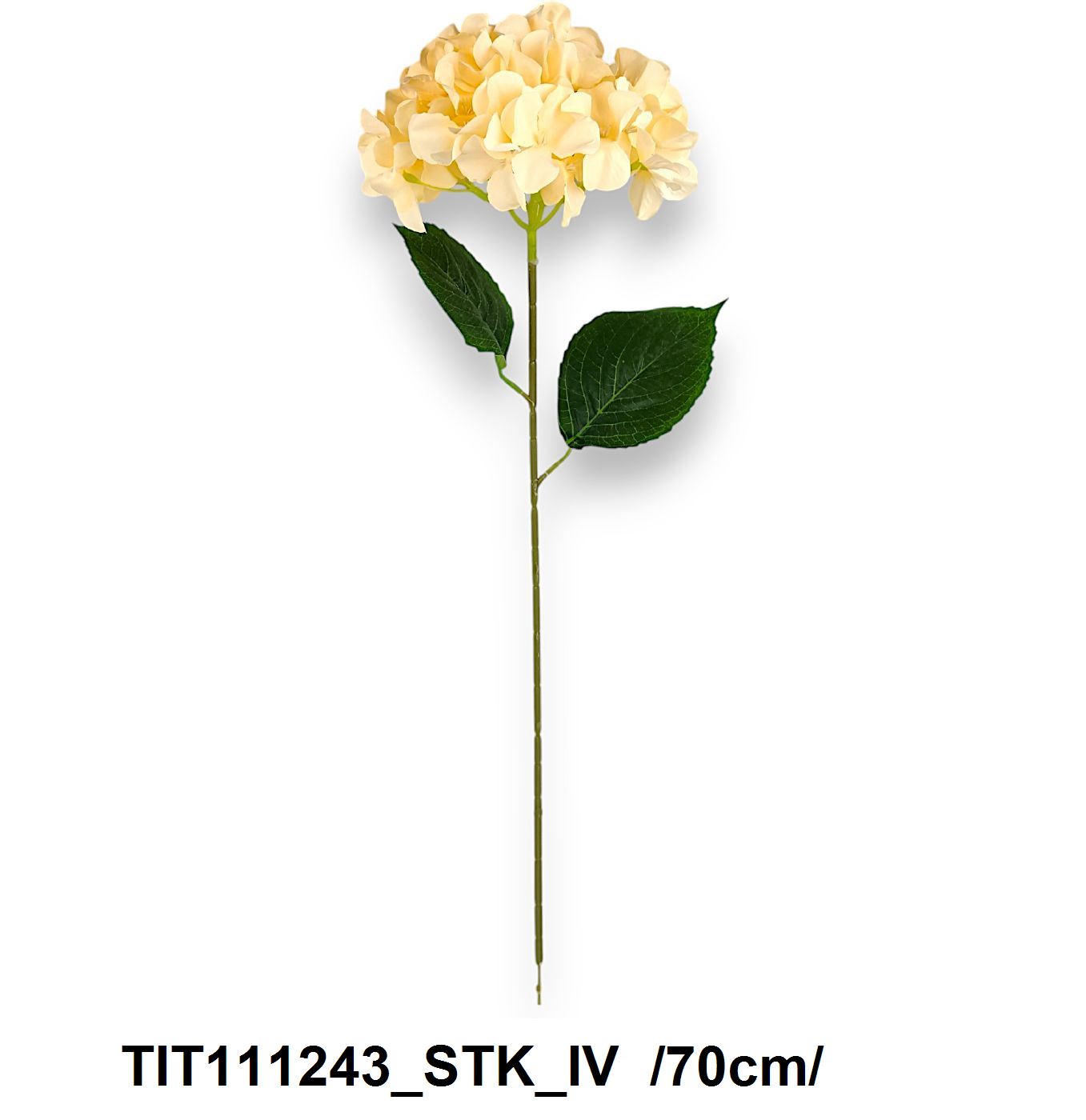 Szálas micropeach hortenzia /70cm/ Fő kép