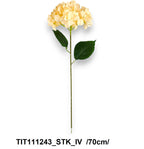 Szálas micropeach hortenzia /70cm/