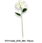 TIT111243_STK_WH