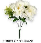 TIT118099_STK_CR