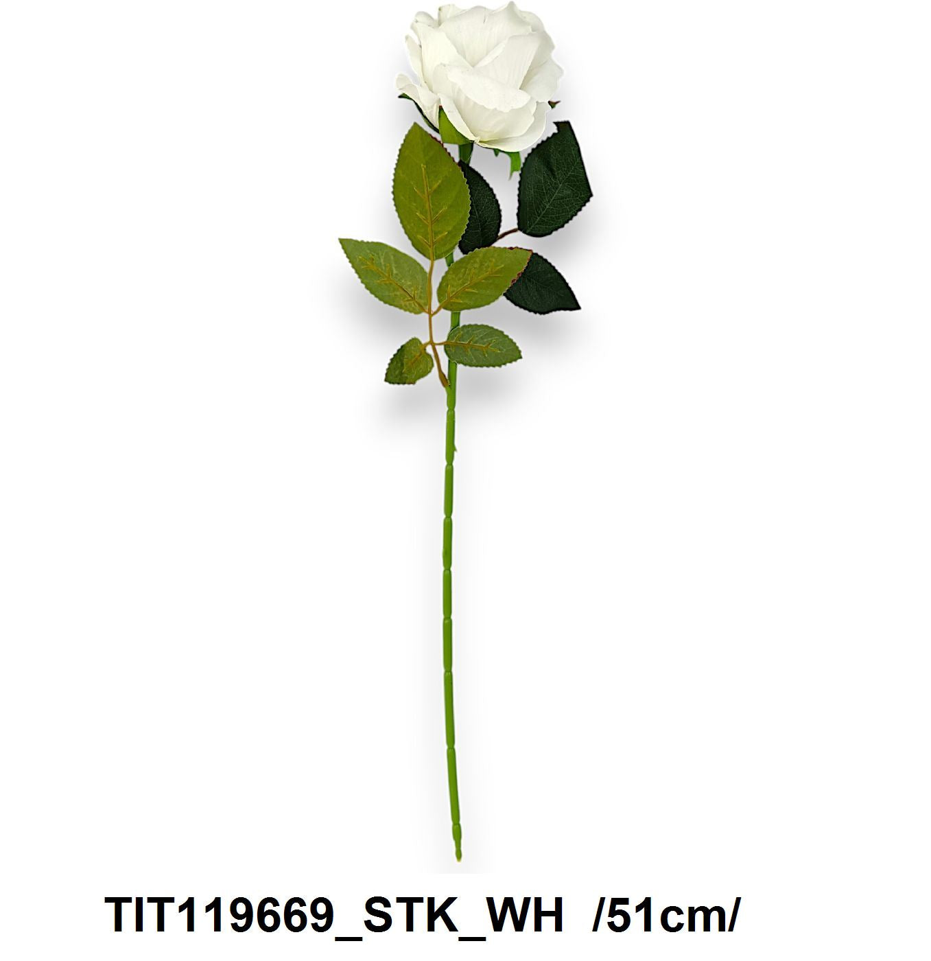 Szálas félbársony rózsa /51cm/ Fő kép