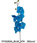TIT122836_BLUE_STK