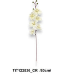 TIT122836_CR