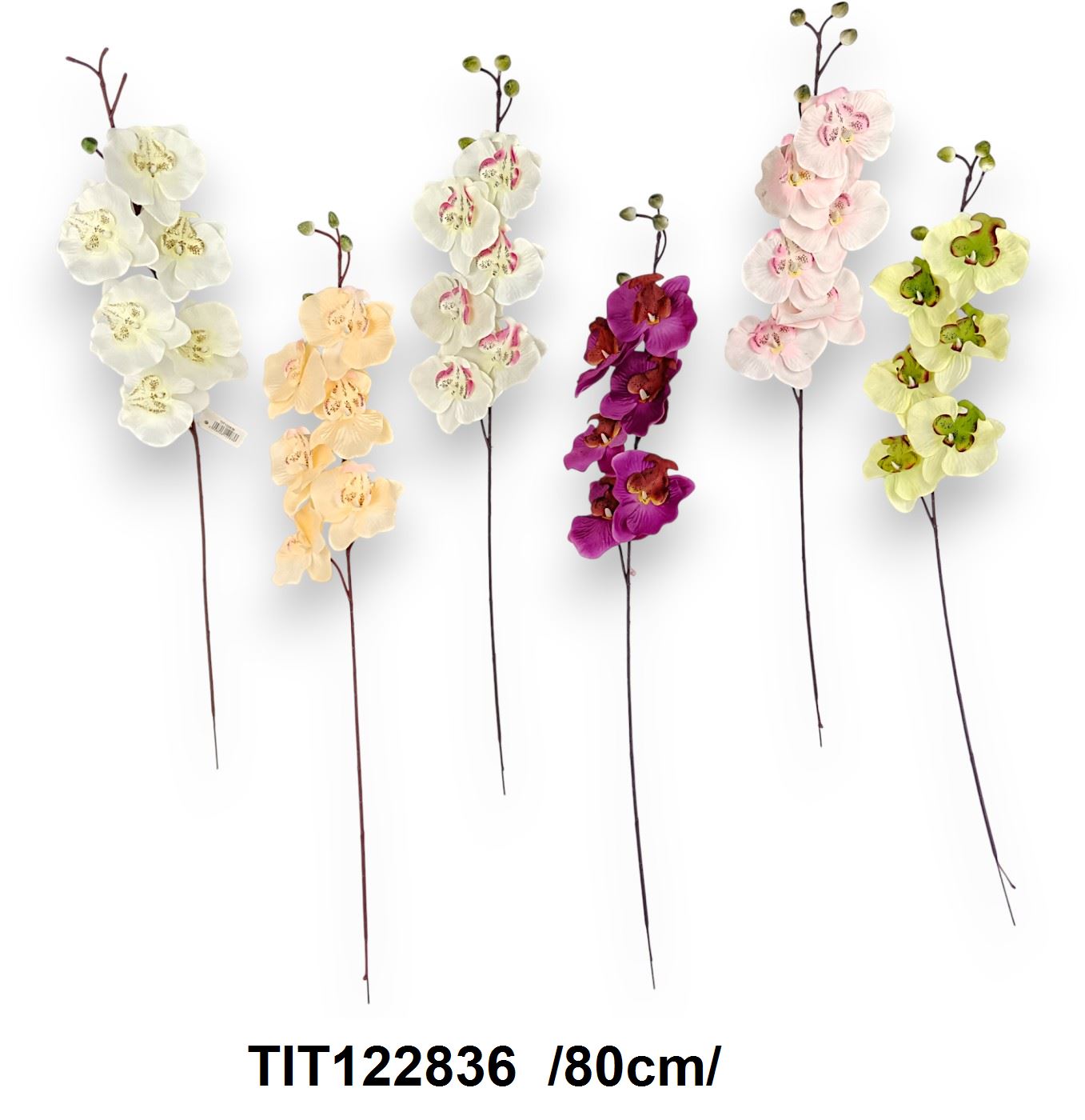 Piliorchidea szál, 6 fejjel és 4 bimbóval /80cm/