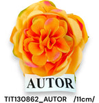 TIT130862_AUTOR