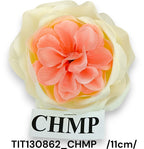 TIT130862_CHMP