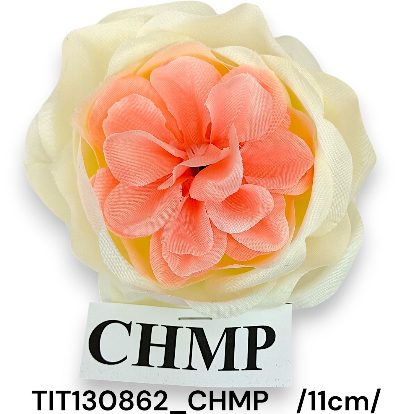 TIT130862_CHMP