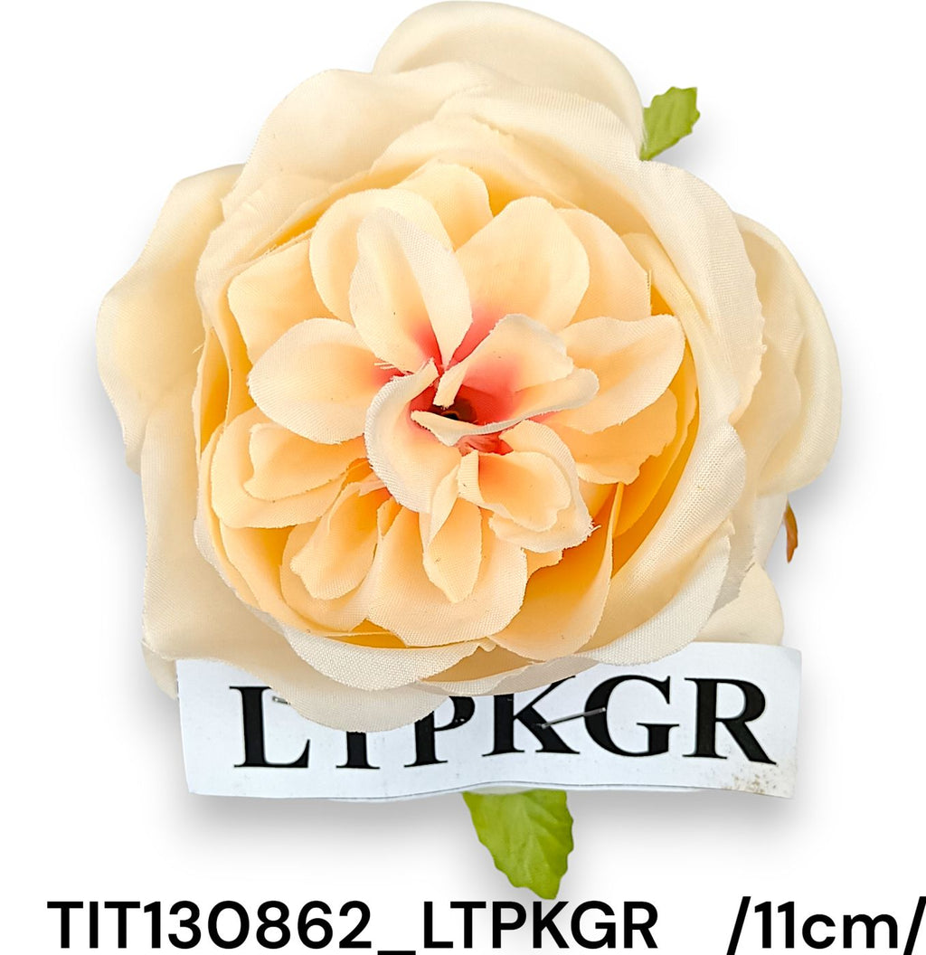 TIT130862_LTPKGR