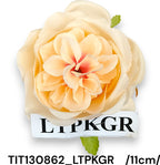 TIT130862_LTPKGR