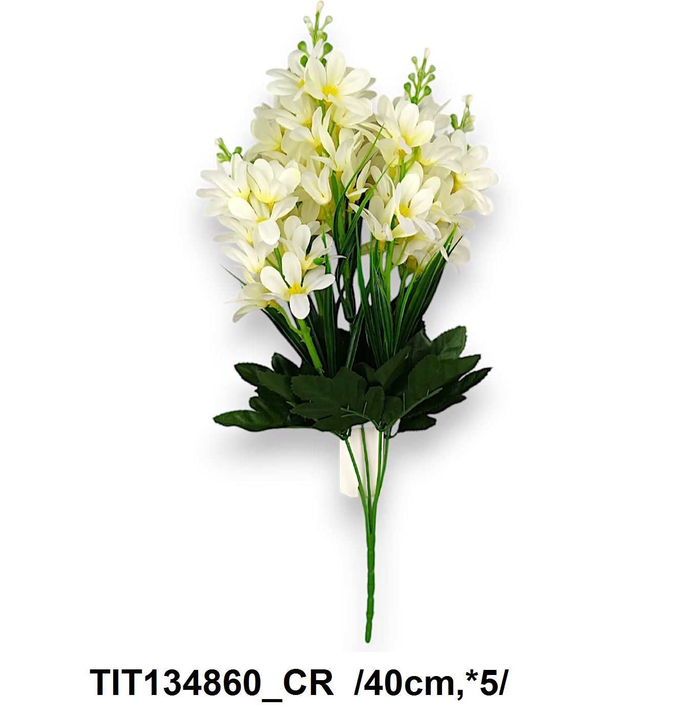 Szarkaláb bokor /40cm,*5/ Fő kép