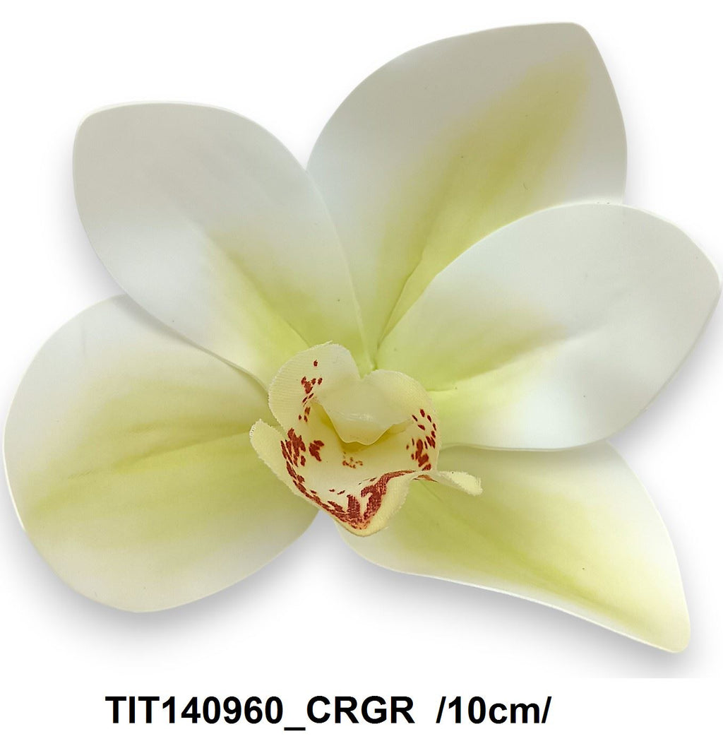 TIT140960_CRGR