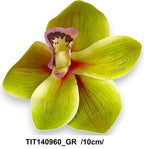 TIT140960_GR
