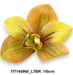 TIT140960_LTBR
