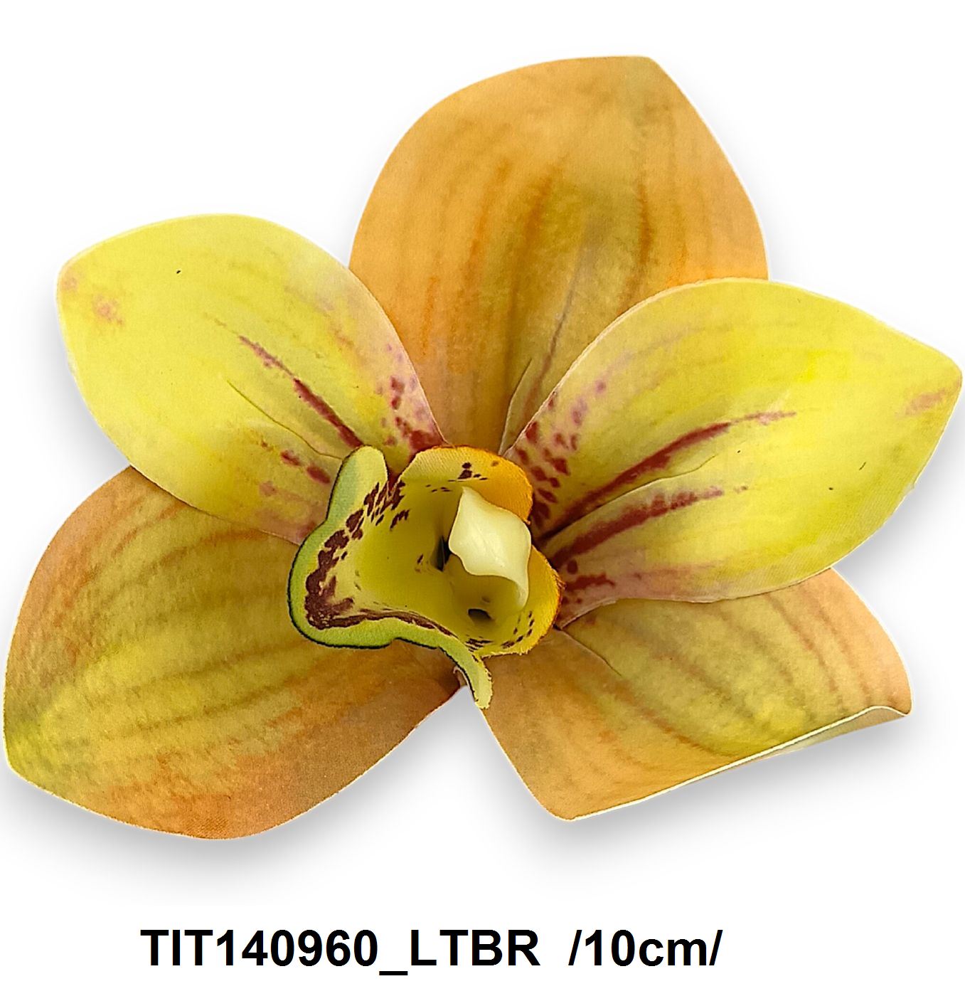 TIT140960_LTBR