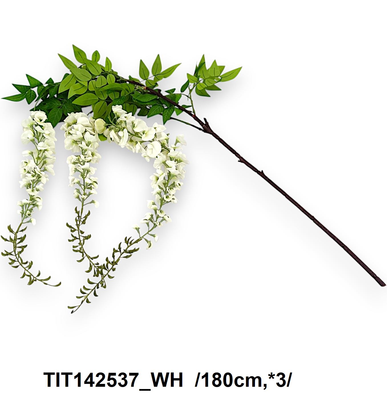 Élethû csüngõ akác ág /180cm,*3/