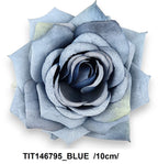 TIT146795_BLUE