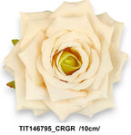 TIT146795_CRGR