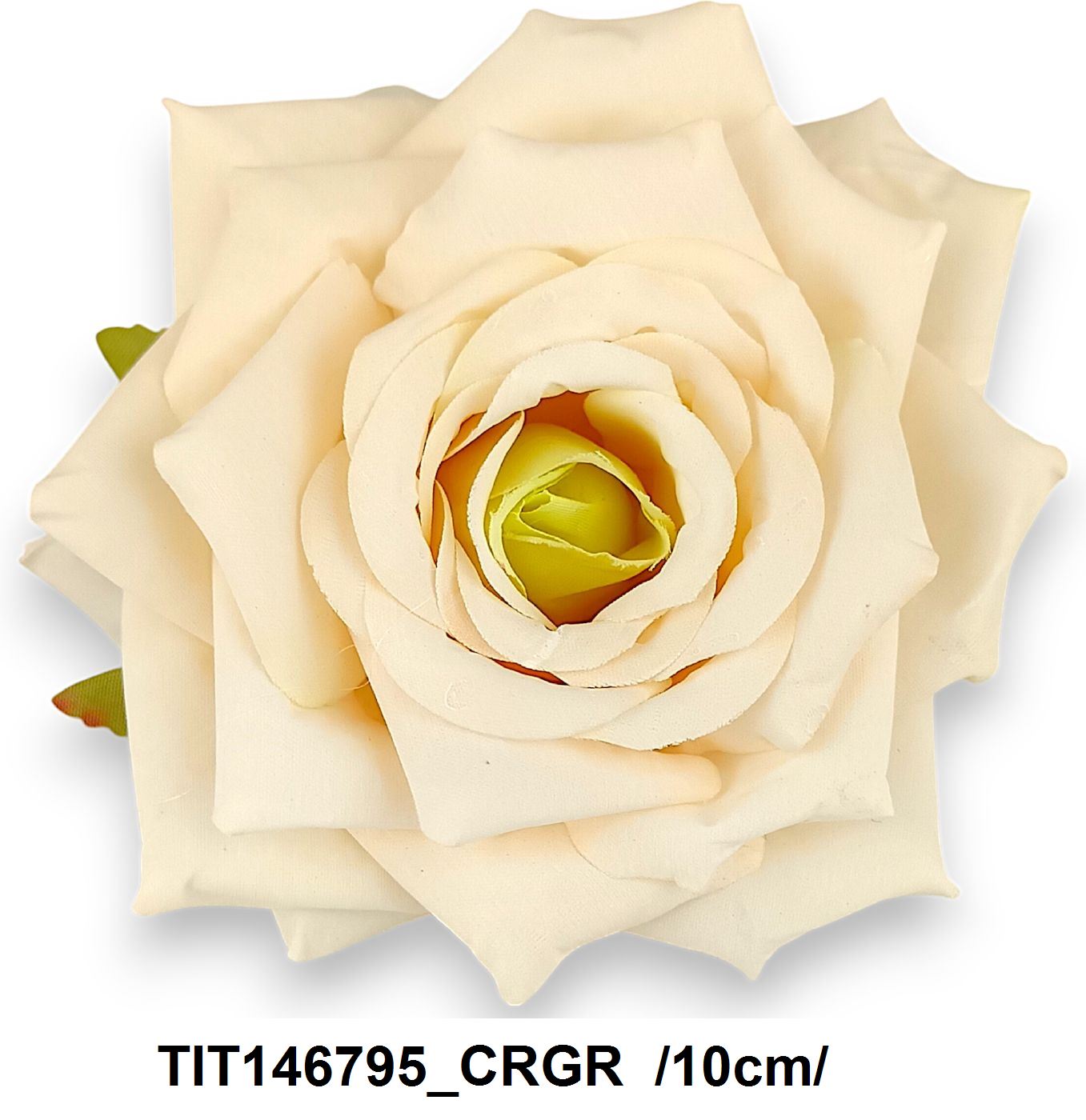 TIT146795_CRGR