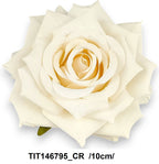 TIT146795_CR