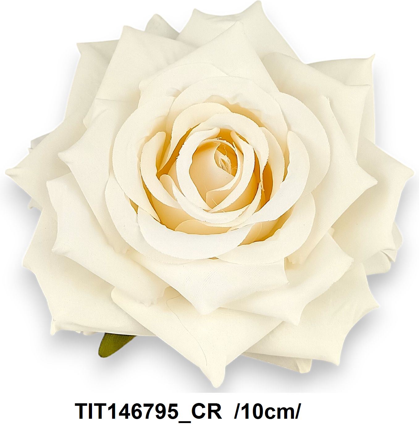 TIT146795_CR