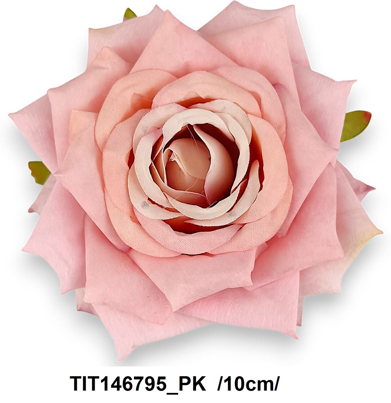 TIT146795_PK